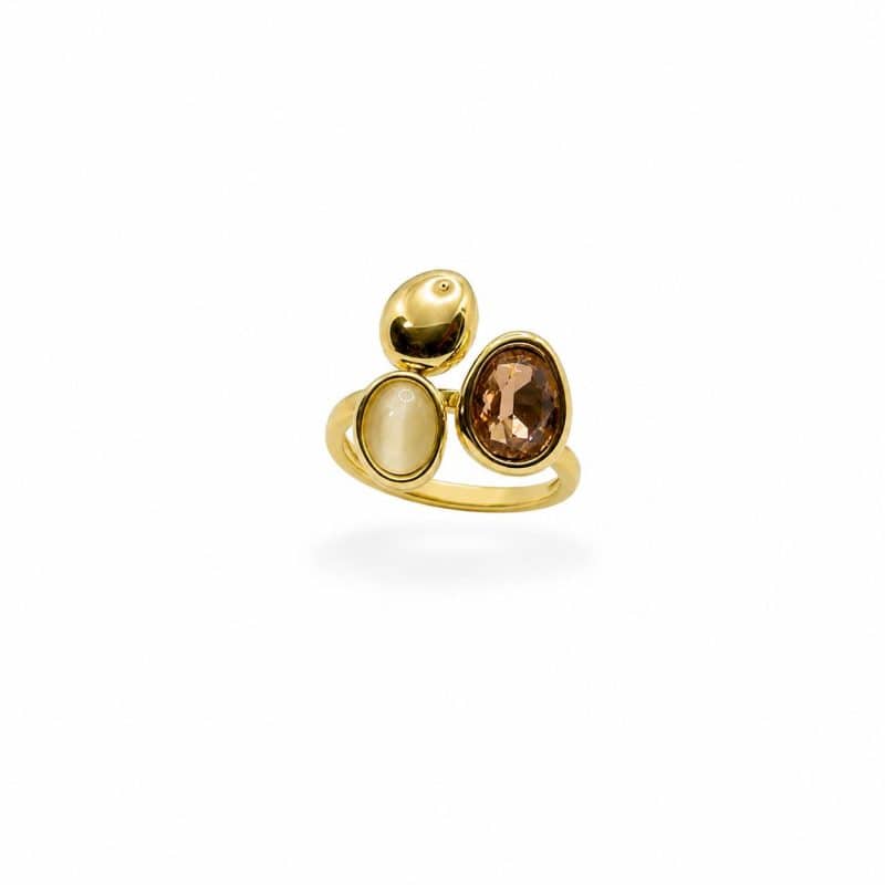 ANILLO TERRA